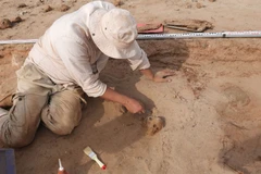 Phát hiện nơi chôn cất khỉ ở Thành phố Cháy của Iran 