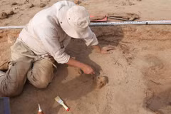 Phát hiện nơi chôn cất khỉ ở Thành phố Cháy của Iran 