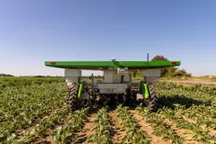 Robot năng lượng mặt trời thay nông dân nhổ cỏ 