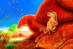 Hóa thạch động vật có vú 90 triệu năm tuổi gây sửng sốt