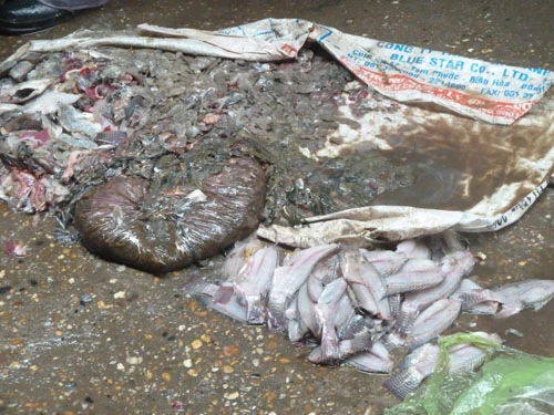 Tận mục “hô biến” cá thối thành cá giòn