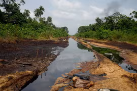 Thông tin vụ gần 40 người tử vong do hít phải khí độc ở Nigeria
