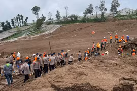 Sạt lở đất ở Indonesia, hàng chục người thiệt mạng