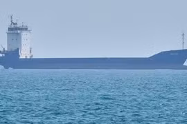 Mỹ cảnh báo công ty vận tải biển nếu trả phí qua Hormuz cho Iran