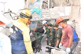 Đoàn cứu hộ cứu nạn Việt Nam tìm thấy 23 nạn nhân động đất tại Venezuela