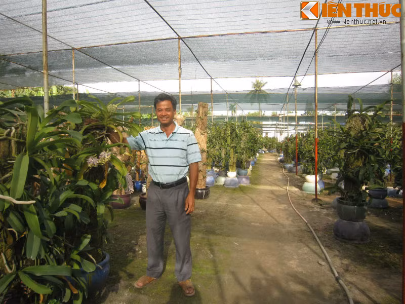 Anh Bích bên vườn lan Đai Châu rộng lớn của mình.