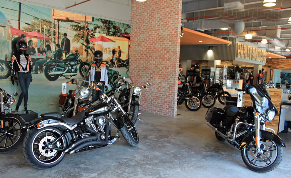 Hiện tại, các mẫu xe Harley-Davidson có mặt tại Việt Nam khá phong phú về chủng loại và là các mẫu xe mới nhất như: Sportster, Dyna, Softail, Touring và Custom Vehicle Operations – CVO.