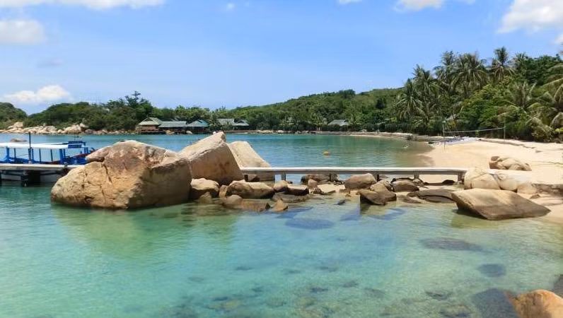 Với 23 ngôi nhà gỗ tre ngự trên bãi biển, dưới bóng mờ của những cây dừa và khu vườn thực vật đầy hoa, cách bãi biển chưa đến 150 m, Whale Island Resort còn tích hợp các bar dọc bờ biển có thể ngắm toàn cảnh mặt trời lặn quyến rũ.