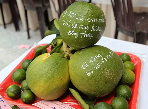 Le hoi trai cay Nam bo noi quy tu nhung loai trai cay khung-Hinh-6
