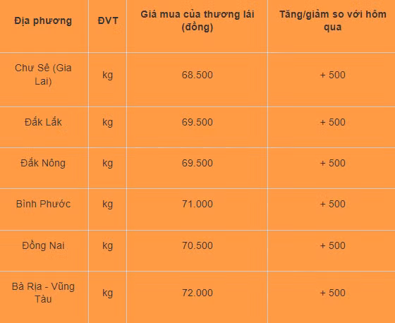 Gia tieu hom nay 2/8: Tiep tuc da tang, cao nhat 72.000 dong/kg