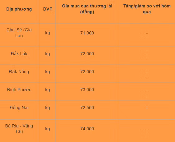 Gia tieu hom nay 13/8: On dinh, cao nhat 74.000 dong/kg