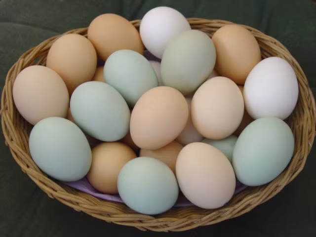 Trứng: Ngoài các protein, trứng chứa các vitamin A, giúp chức năng võng mạc hoạt động đúng và làm giảm nguy cơ thoái hóa điểm vàng liên quan đến tuổi tác và đục thủy tinh thể.