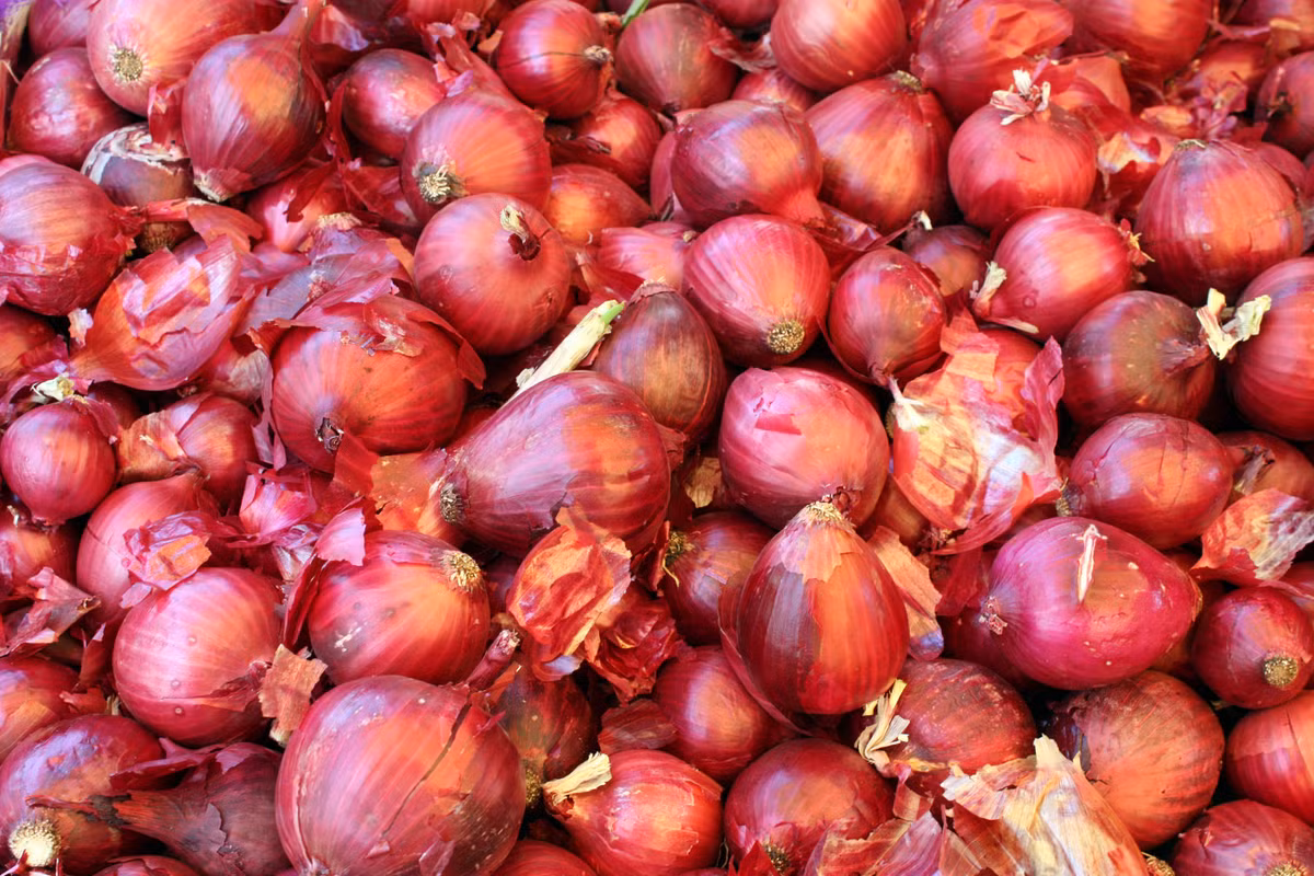 Hành. Đây là thực phẩm giàu quercetin và naringin - các chất phòng chống ung thư. Do đó, càng ăn nhiều hành, nguy cơ mắc ung thư phổi càng giảm.