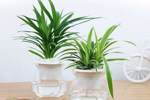 6 quan niệm phong thủy sai lầm - Hình 2 6 quan niem phong thuy sai lam-Hinh-2