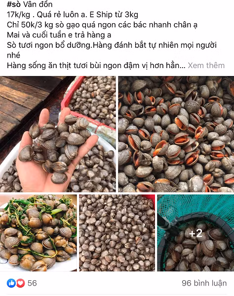 So gao gia re chua tung co tran ngap cho online, gia chi 17.000d/kg-Hinh-2
