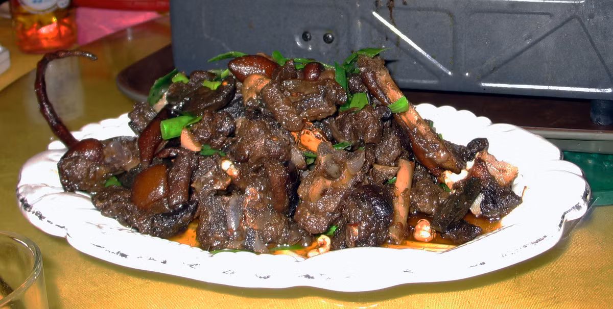 Asocena là món thịt chó hầm.
