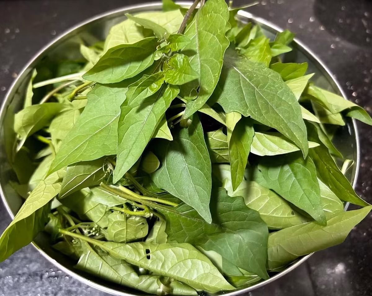 Loai rau dai xua cha ai them, nay thanh dac san, giup giai doc-Hinh-10