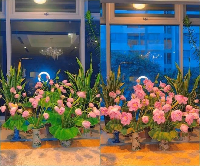 Bà xã Mạnh Trường thổ lộ với đàn chị: "Thế mà hên sui ngồi hóng hoa nở lắm chị ạ". Khi bạn bè xuýt xoa khen "hoa đẹp quá", Phương Phạm bày tỏ: "Mỗi tội tàn nhanh".