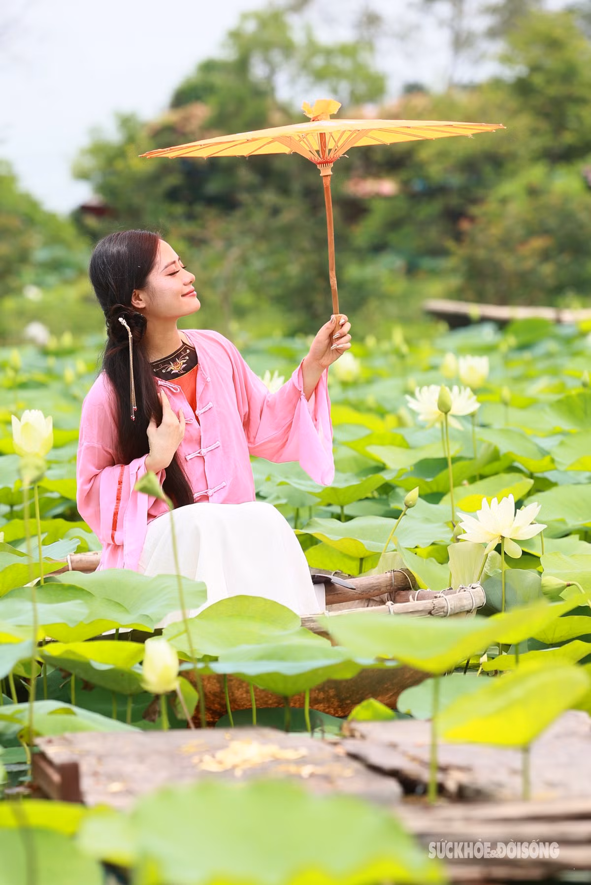 "Mình biết đến đầm sen này qua những người bạn. Mọi năm mình hay chụp với sen đỏ ở Hồ Tây, năm nay quyết định chụp sen trắng với áo dài", cô gái tên T.Nga chia sẻ.