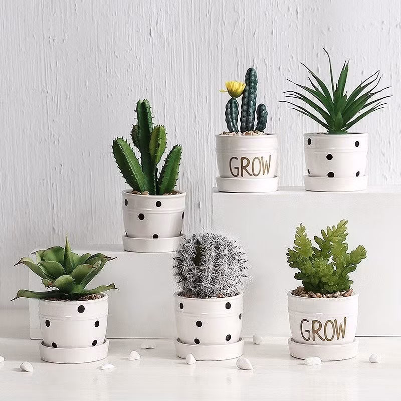 Xương rồng là ví dụ điển hình của cây phong thủy xấu vì những chiếc gai nhọn trên thân cây tỏa ra năng lượng khắc nghiệt, cứng nhắc...
