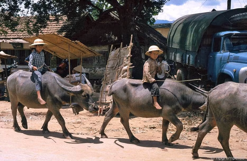 Con đường này dẫn ra chợ.