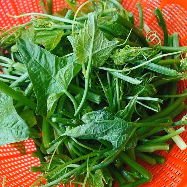 Loại rau bổ dưỡng như thịt bò, giàu chất sắt - Hình 2 Loai rau bo duong nhu thit bo, giau chat sat-Hinh-2