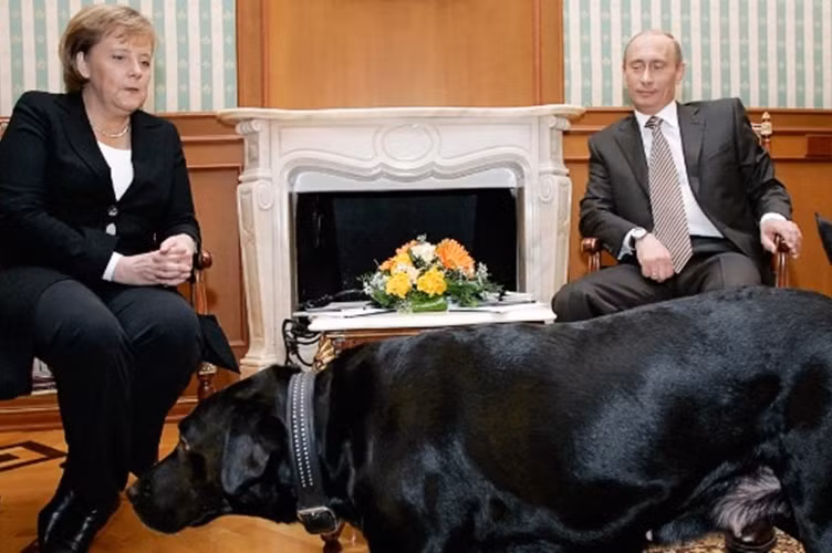 Có tin nói bà Merkel rất sợ chó. Thế nhưng, Tổng thống Nga lại mang theo chú chó cưng Koni tham dự cuộc nói chuyện với Thủ tướng Merkel trong năm 2007.