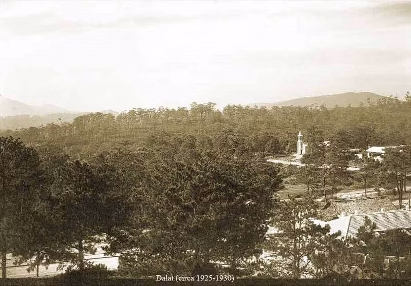 Nhà thờ Chính tòa Đà Lạt (cũ) ẩn hiện sau rừng thông, khoảng năm 1925-1930. Ảnh: Raymond Chagneau