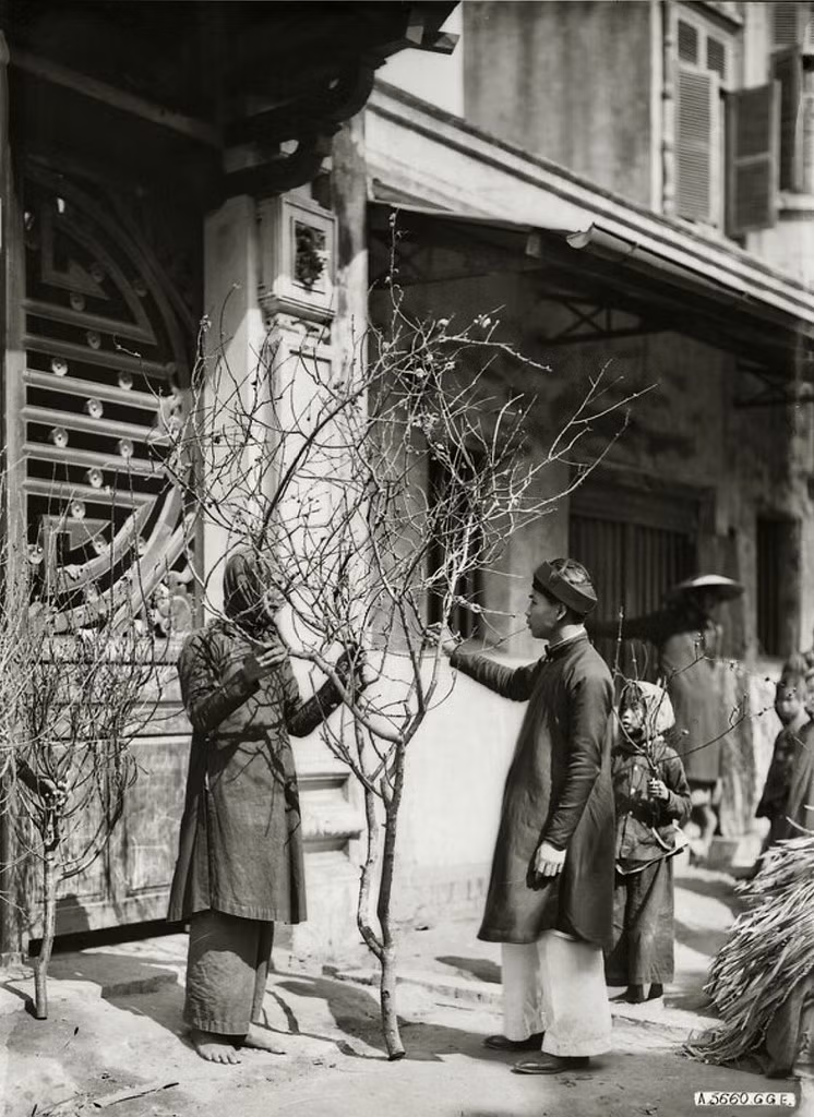Bán cành đào ngày 30 Tết ở khu vực chợ Đồng Xuân, thập niên 1920.