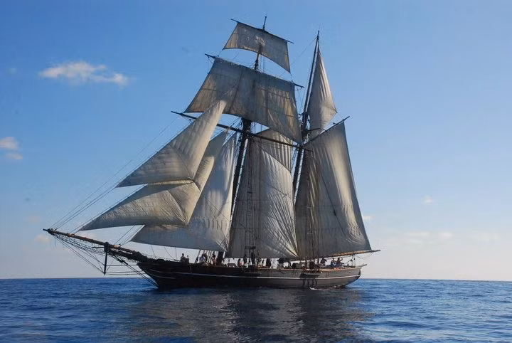 Trước đó, vào ngày 28/6/1839, 53 nô lệ vừa bị bắt ở châu Phi đã rời Havana trên tàu Amistad để đến đồn điền mía đường tại Puerto Principe, Cuba, khi đó là thuộc địa của Tây Ban Nha.