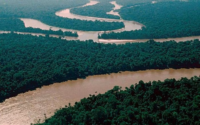 Theo World Atlas, với chiều dài 4.690 km, sông Congo xếp thứ chín thế giới và thứ hai châu Phi (sau sông Nile). Sông Congo có nhiều thủy quái sinh sống như cá sấu, hà mã. Đặc biệt, Mokele-mbembe - loài thủy quái khổng lồ, hung dữ - được cho là trú ngụ ở thượng nguồn lưu vực sông Congo. Cuộc săn tìm Mokele-mbembe bắt đầu từ thế kỷ XIX. Đến nay, hơn 50 đoàn thám hiểm tìm đến vùng đầm lầy Likouala của Congo nhưng vẫn chưa tìm thấy loài quái thú bí ẩn này.