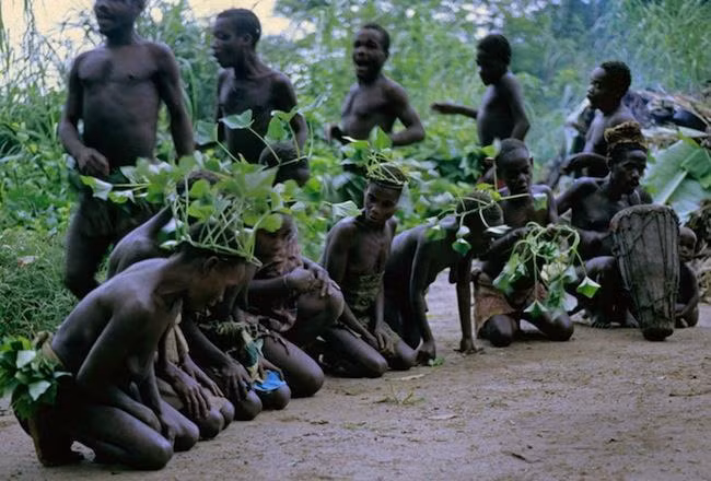 Theo National Geographic, người Pygmy, bộ tộc lùn nhất thế giới với chiều cao của nam giới trưởng thành dưới 1,5 m, thường sống dọc theo sông Ituri. Đây là một chi lưu của sông Congo.