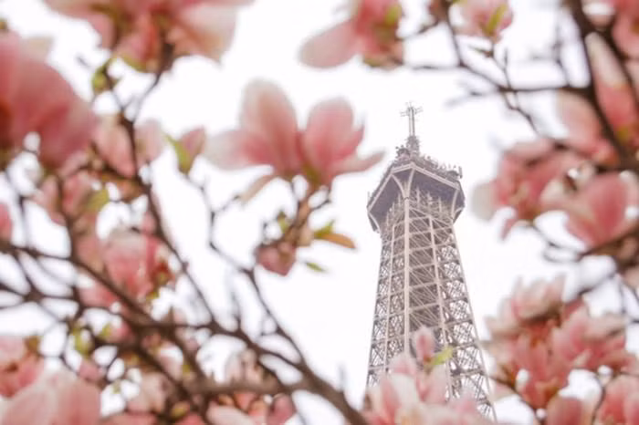 Mở cửa vào năm 1889, Eiffel trở thành công trình biểu tượng, đáng tự hào của người dân kinh đô ánh sáng. Được xây dựng bởi nhà thiết kế Gustave Eiffel, khối thép khổng lồ này bao gồm các nhà hàng, hiệu ăn nhanh, phòng trưng bày, quán lưu niệm, điểm truy cập Internet, cửa hàng bán con tem kỷ niệm... với khoảng 500 nhân viên làm việc. Ảnh: BACA.