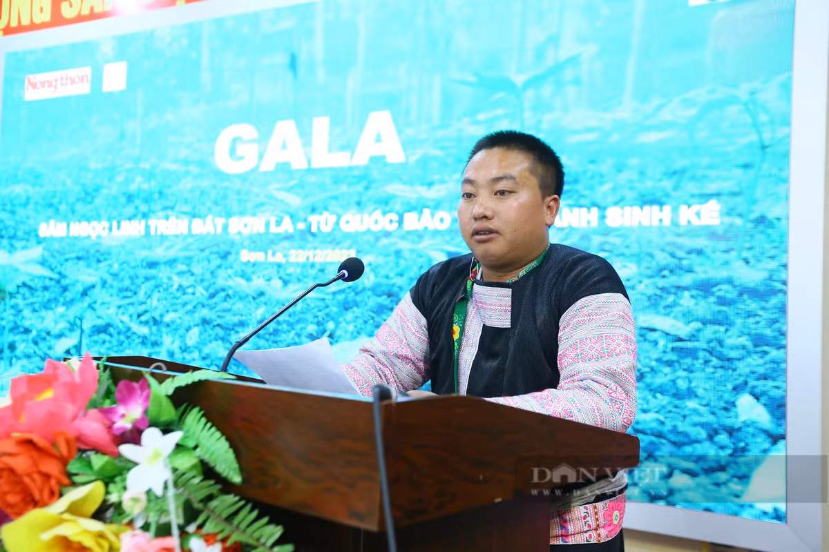 Sâm Ngọc Linh bén rễ đất Sơn La, đồng bào dân tộc Mông thoát nghèo - Hình 2 Sam Ngoc Linh ben re dat Son La, dong bao dan toc Mong thoat ngheo-Hinh-2