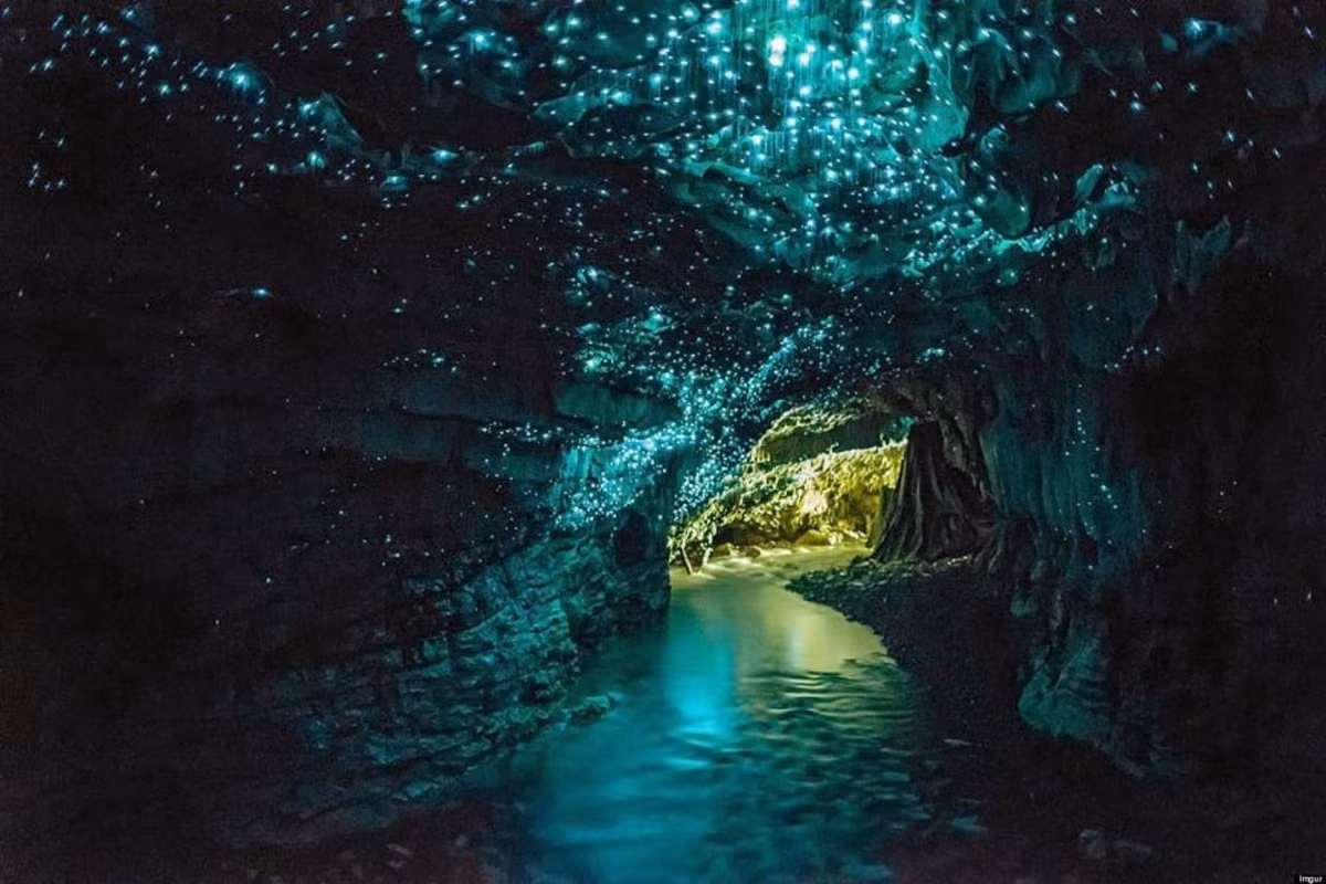 Theo BBC, hang động Waitomo Glowworm thuộc đảo Bắc, New Zealand. Hang động này được biết đến với quần thể Arachnocampa luminosa (một loài sinh vật có khả năng phát sáng) được tìm thấy độc quyền ở New Zealand. Nó là một phần của hệ thống hang Waitomo, bao gồm Ruakuri và Aranui.