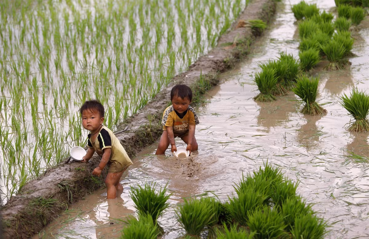 Vẻ đáng yêu của các em bé vùng cao.