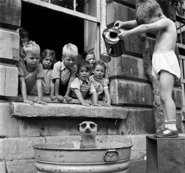 Trẻ em ở Nam Phi, năm 1950.