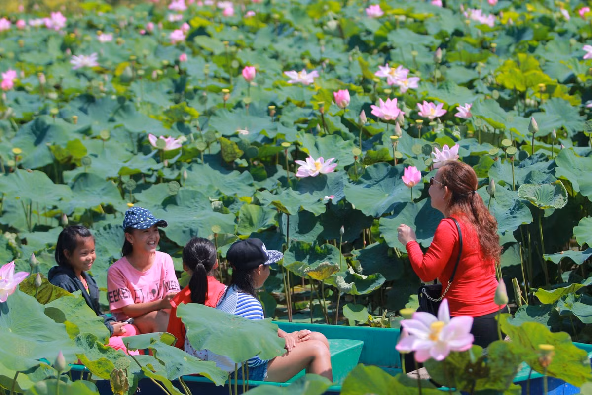 Đồng Tháp được nhiều người biết đến là "đất sen hồng". Tại vùng đất này, hoa sen với nhiều chủng loại từ lâu đã trở thành hình ảnh quen thuộc, được nhắc đến qua câu "Tháp Mười đẹp nhất bông sen...". "Thuần khiết như hồn sen" (As pure as lotus) cũng là slogan quảng bá du lịch của tỉnh. Ảnh: Đồng Tháp Quê Mình.