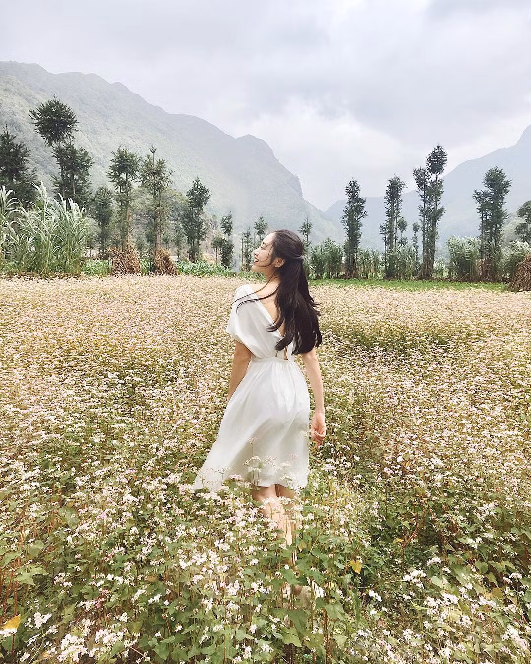 Hà Giang có Lễ hội Hoa tam giác mạch, trở thành thương hiệu du lịch của địa phương. Tam giác mạch phù hợp với điều kiện khí hậu, thổ nhưỡng vùng cao nguyên đá Hà Giang, vốn là loài cây được trồng từ lâu để làm lương thực, gắn bó với đồng bào địa phương, song lại mang vẻ đẹp độc đáo, thu hút du khách. Ảnh: Maivantrang.