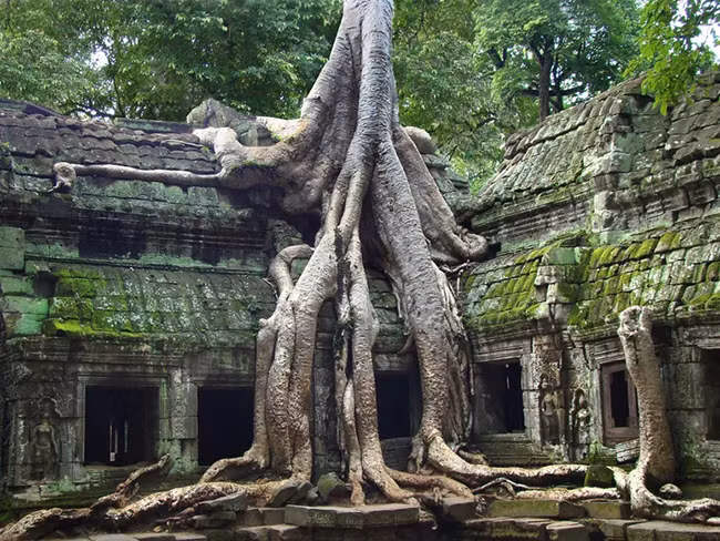 Angkor Wat, Campuchia: Địa điểm tuyệt diệu này có những ngôi đền được trang trí đẹp mắt, công trình thủy lợi và quy hoạch đô thị thể hiện nghệ thuật Khmer ấn tượng từ thế kỷ 9 đến thế kỷ 14.