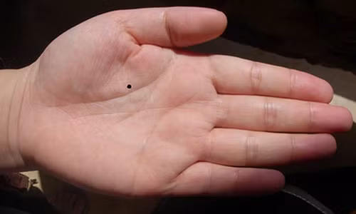 Nốt ruồi ở mu bàn tay có nghĩa bạn là người giỏi quản lý tài chính và có thể kiểm soát quyền lực kinh tế của gia đình sau khi kết hôn.
