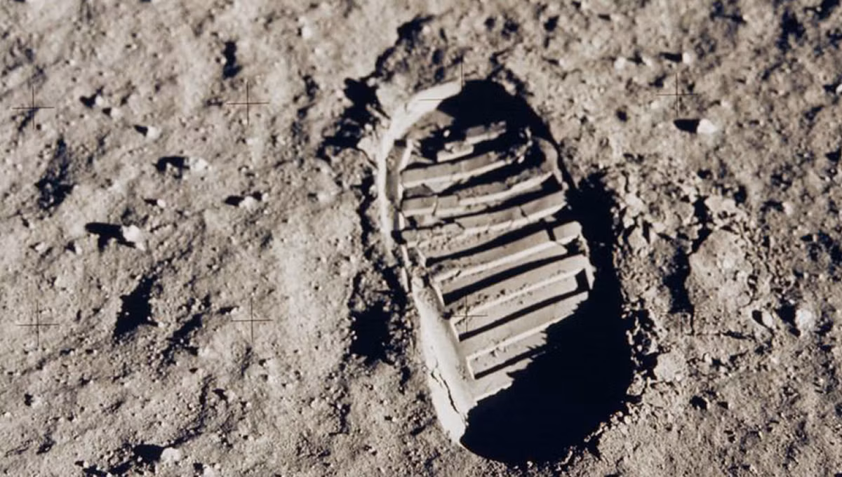 So phan la lung cua tui bui Mat Trang tau Apollo 11 mang ve-Hinh-4