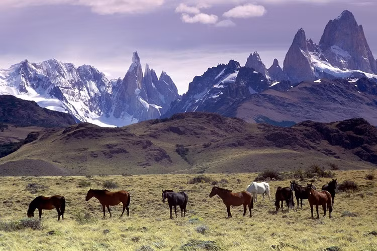 Phong cảnh dãy núi Andes rất thanh bình, thơ mộng...