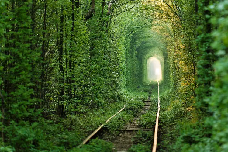 "Đường hầm tình yêu" ở Klevan, Ukraine.