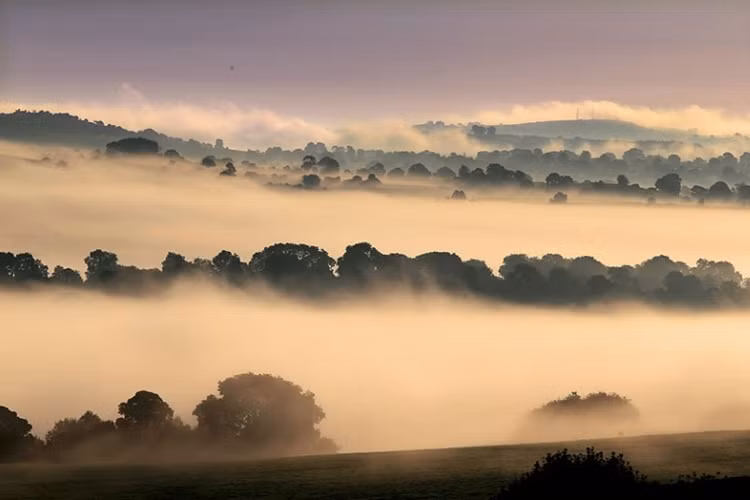 Bình minh trong sương mù ở Tissington, quận Derbyshire Peak, Vương quốc Anh.