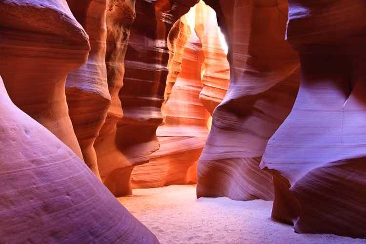 "Động linh dương" ở Arizona, Mỹ.