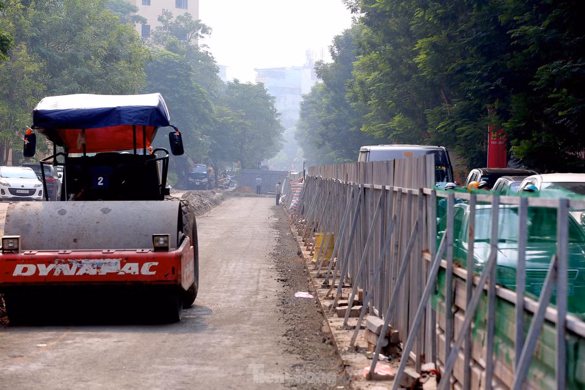 Trần Đăng Ninh là tuyến đường có mật độ giao thông lớn nên thường xuyên xảy ra ùn tắc, nhất là đoạn nút giao Trần Đăng Ninh - Nguyễn Phong Sắc. Để khắc phục tình trạng trên, việc điều chỉnh vỉa hè mở rộng mặt đường là hết sức cấp thiết.
