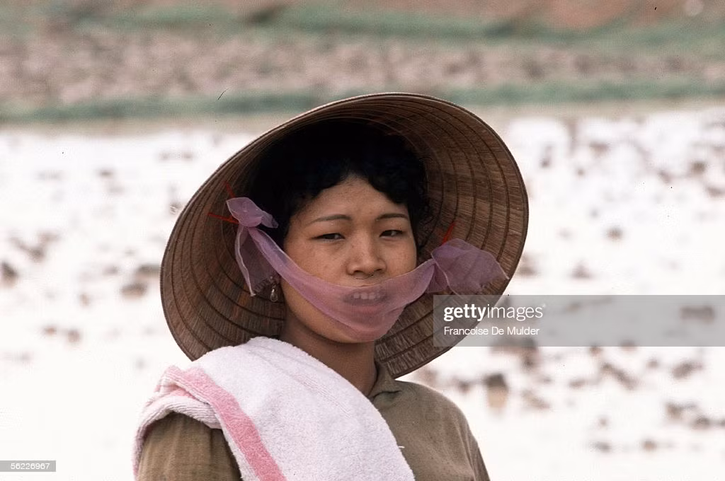 Một người phụ nữ trên đồng ruộng, Hà Nội năm 1989.