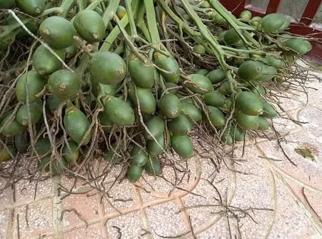 Loai qua o VN ban re nhu cho, ra nuoc ngoai ban 10 trieu dong/kg