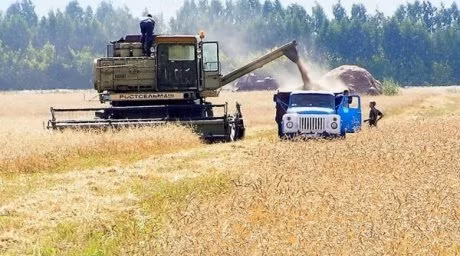 Nông dân Kazakhstan làm việc trên cánh đồng.